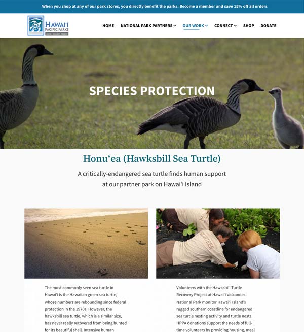 Our Work: Species Protection
