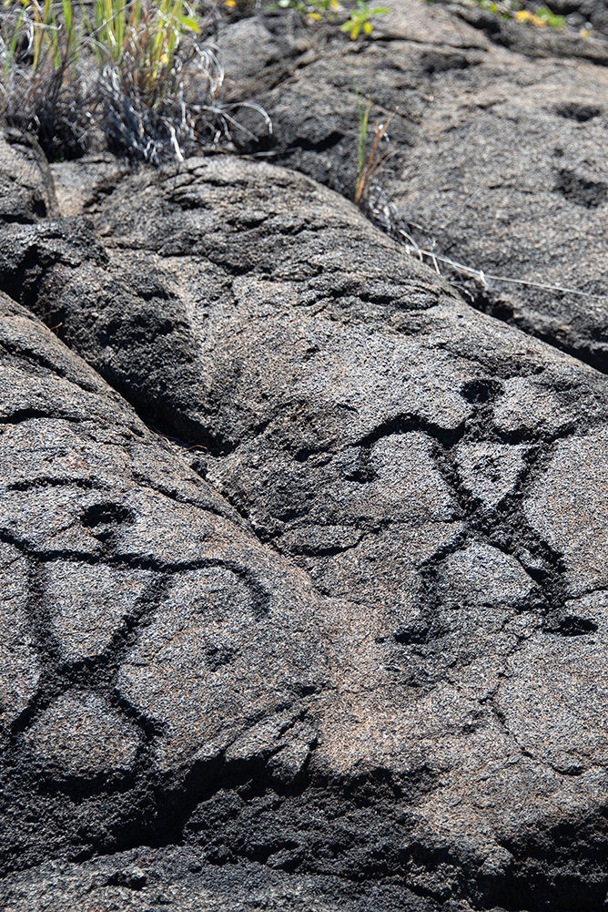 Stone Stories: The Mystery and History of Hawaiian Petroglyphs