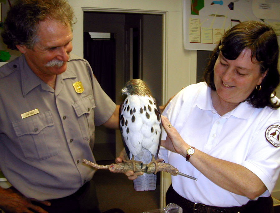 NPS and HPPA staff hold a model of a Hawaiian hawk